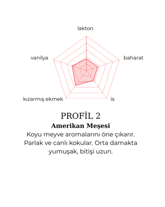 Fıçı
