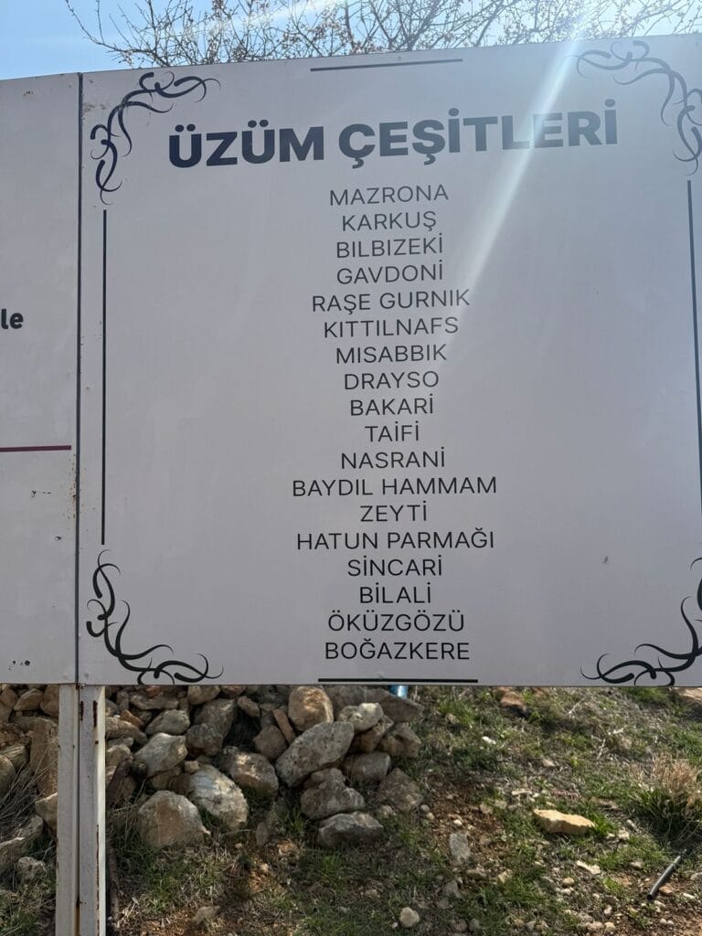 Süryani manastırları