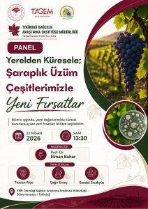 Panel afişi