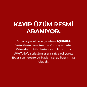 eksik görsel duyurusu