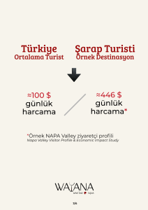 Kitle turizmi ile şarap turizmi ziyaretçilerinin günlük ortalama harcamalarını karşılaştıran grafik.
