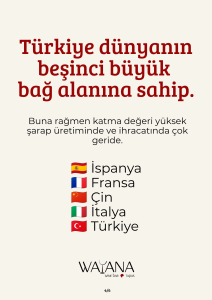 Kitle turizmi ile şarap turizmi ziyaretçilerinin günlük ortalama harcamalarını karşılaştıran grafik.